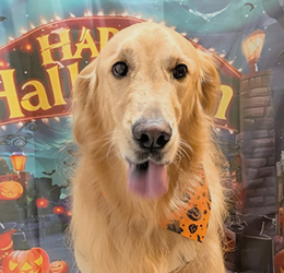 やさしいケアにこだわるトリミングサロンDOG SALON CHOCO