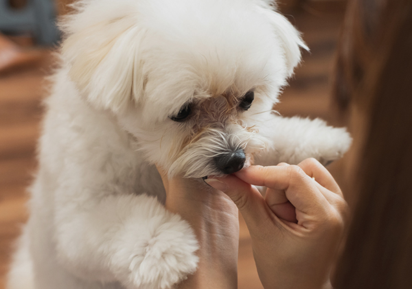 肌トラブルが気になる方