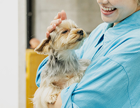 丁寧なヒアリング