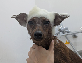 肌にやさしいケア