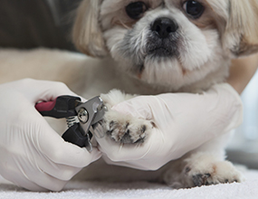 必要なお手入れは全部まとめて