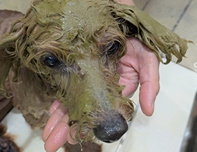 豊富なケアメニュー