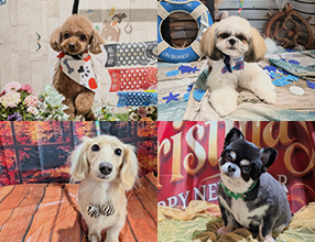 記念撮影できます